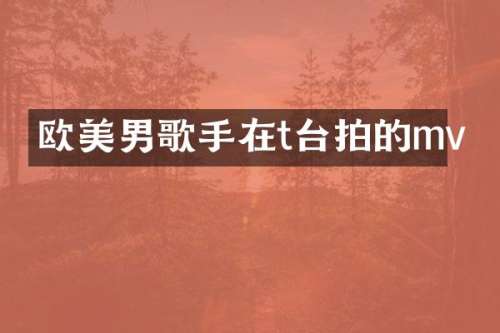 欧美男歌手在t台拍的mv