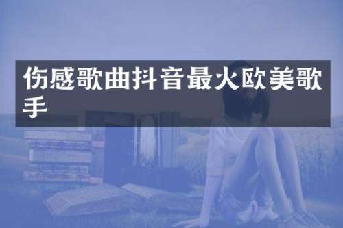 伤感歌曲抖音最火欧美歌手