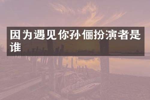 因为遇见你孙俪扮演者是谁