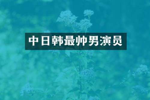 中日韩最帅男演员