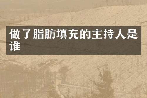 做了脂肪填充的主持人是谁