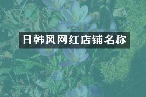 日韩风网红店铺名称