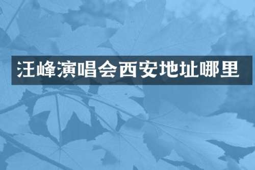 汪峰演唱会西安地址哪里