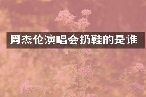 周杰伦演唱会扔鞋的是谁