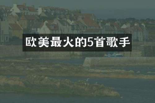 欧美最火的5首歌手