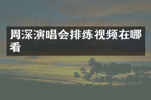 演唱会排练视频在哪看