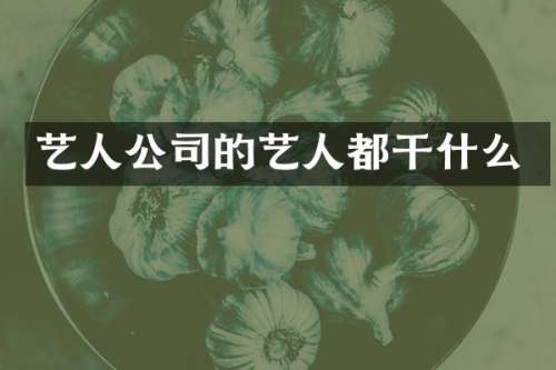 艺人公司的艺人都干什么