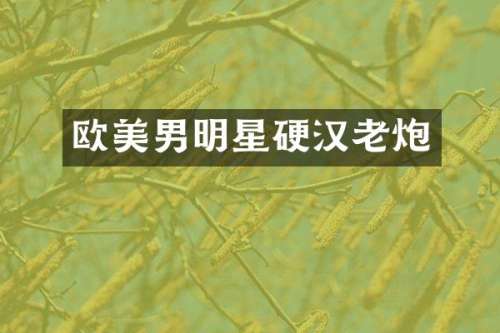 欧美男明星硬汉老炮