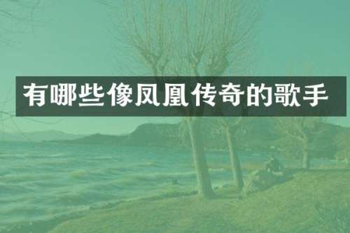 有哪些像凤凰传奇的歌手