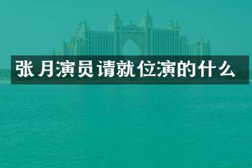 张月演员请就位演的什么