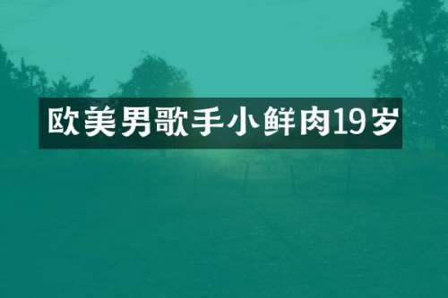 欧美男歌手小鲜肉19岁