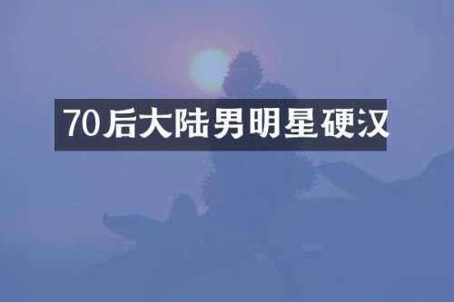 70后大陆男明星硬汉