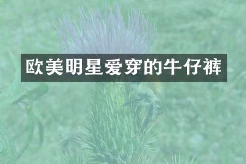 欧美明星爱穿的牛仔裤