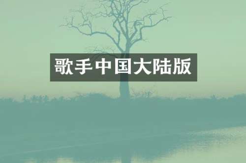 歌手中国大陆版