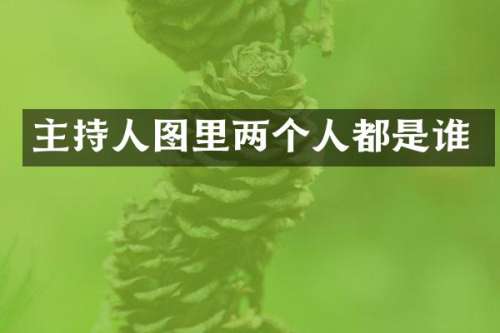 主持人图里两个人都是谁