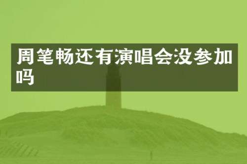 周笔畅还有演唱会没参加吗