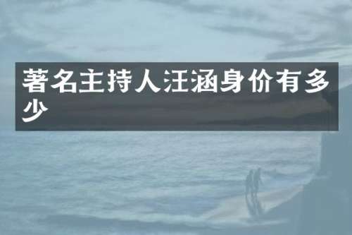 著名主持人汪涵身价有多少