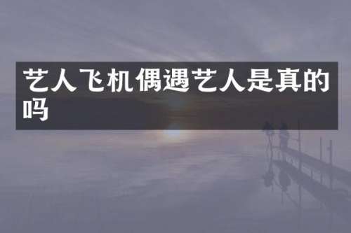 艺人飞机偶遇艺人是真的吗