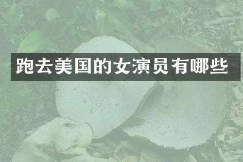 跑去美国的女演员有哪些