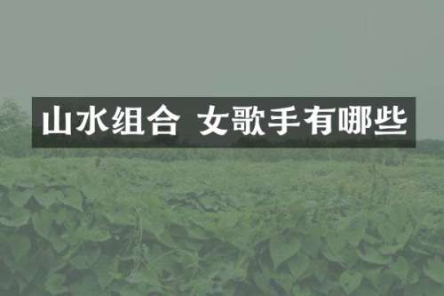山水组合 女歌手有哪些