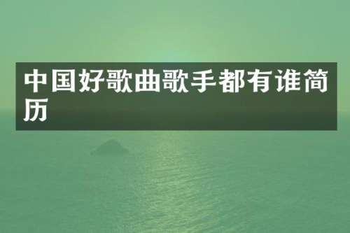 中国好歌曲歌手都有谁简历