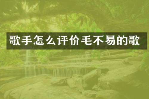 歌手怎么评价毛不易的歌