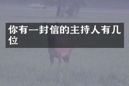 你有一封信的主持人有几位