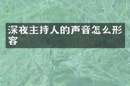 深夜主持人的声音怎么形容