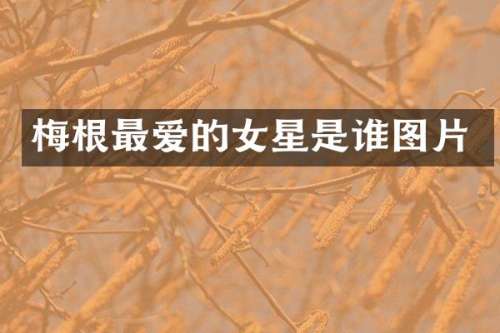梅根最爱的女星是谁图片