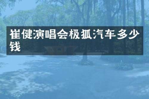 崔健演唱会极狐汽车多少钱