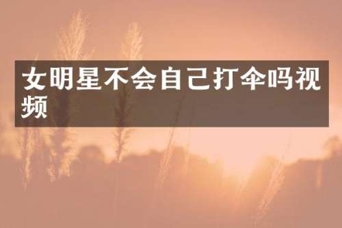女明星不会自己打伞吗视频