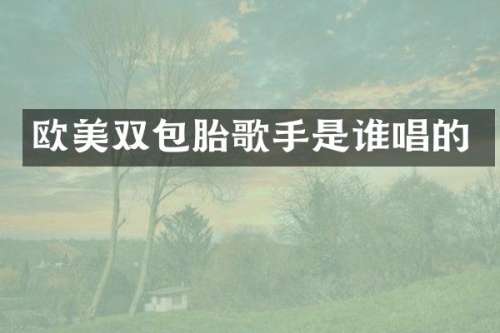 欧美双包胎歌手是谁唱的