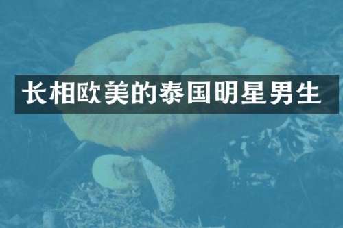长相欧美的泰国明星男生