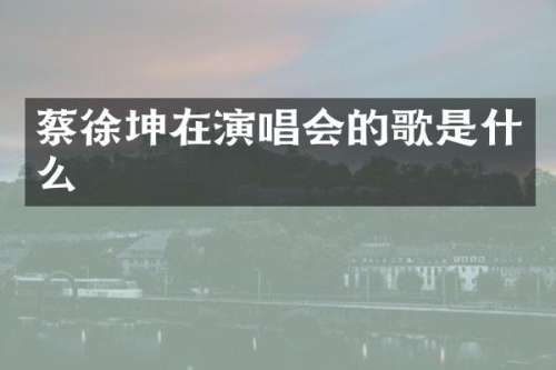 蔡徐坤在演唱会的歌是什么