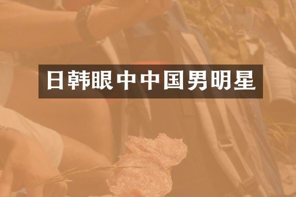 日韩眼中中国男明星