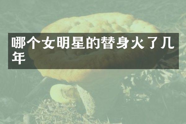 哪个女明星的替身火了几年