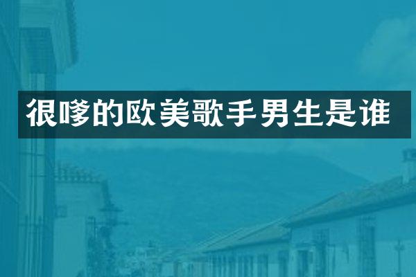 很嗲的欧美歌手男生是谁