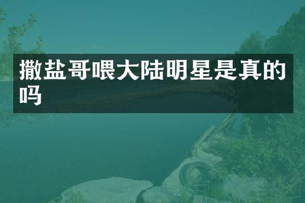 撒盐哥喂大陆明星是真的吗