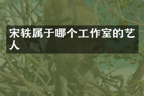 宋轶属于哪个工作室的艺人