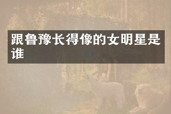 跟鲁豫长得像的女明星是谁