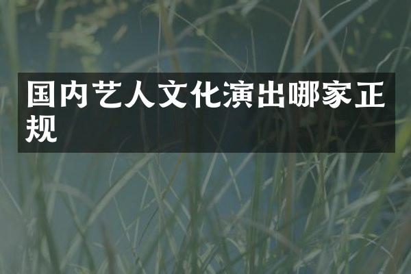 国内艺人文化演出哪家正规