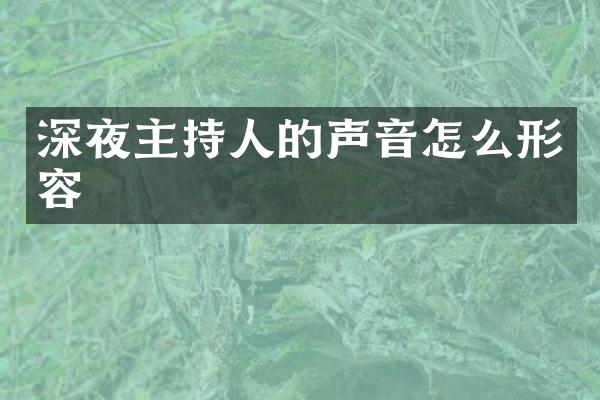 深夜主持人的声音怎么形容
