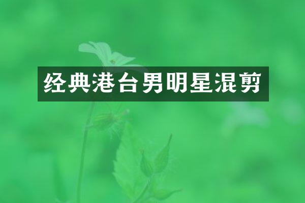 经典港台男明星混剪