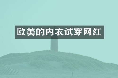 欧美的内衣试穿网红