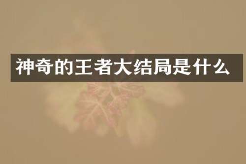 神奇的王者大结局是什么