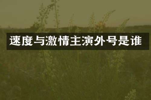 速度与主演外号是谁