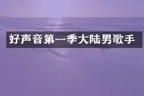好声音第一季大陆男歌手