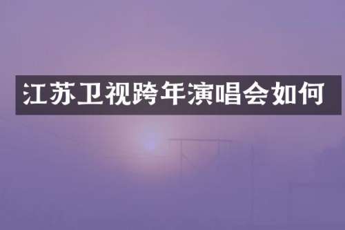 江苏卫视跨年演唱会如何