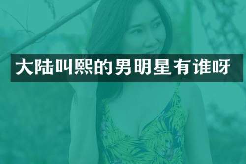 大陆叫熙的男明星有谁呀