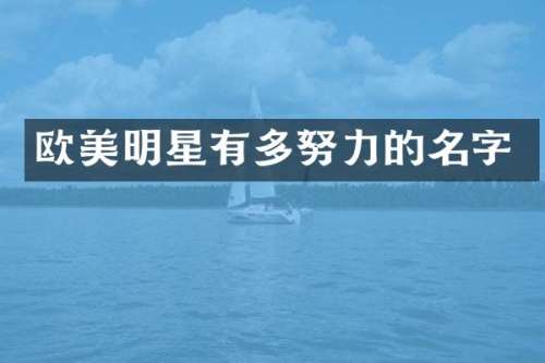欧美明星有多努力的名字